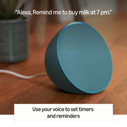Echo Smart Speaker Series